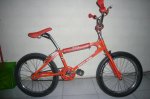 bmx derecha.jpg