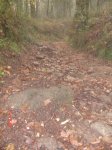 DSC02846.jpg