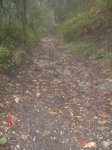 DSC02847.jpg