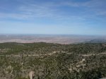 DSC01522.jpg