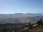 DSC01525.jpg