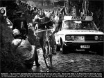ronde77-merckx.jpg