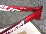 SSA51257.JPG