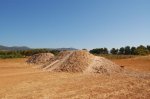 -Campillo- 267.jpg