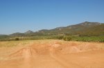 -Campillo- 268.jpg