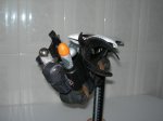 DSCN3497.jpg