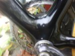 DSC00504.jpg