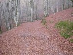 urbia 12-11-09 00015.JPG