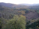 urbia 12-11-09 00016.JPG