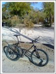 DSC00078mtb.jpg
