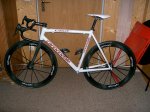 caad9. white LW.jpg