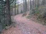 IMG_1346 (Large).JPG