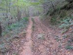 IMG_1344 (Large).JPG