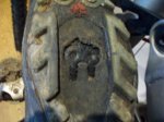 100_2384.jpg