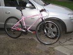 Pink020-1.jpg
