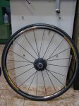 rueda I.jpg