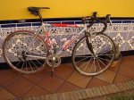 DSC01707.jpg
