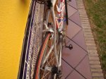 DSC01710.jpg