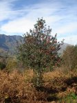 DSC04717.jpg