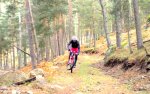DSCN0511.JPG