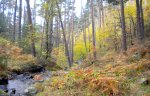 DSCN0514.JPG