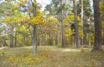 DSCN0517.JPG