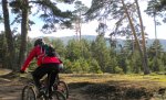 DSCN0518.JPG