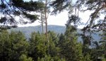 DSCN0520.JPG