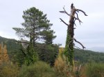 DSC02834.JPG
