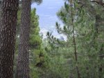 DSC02844.JPG