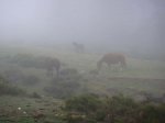 DSC02846.JPG