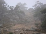DSC02854.JPG