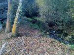 14112009133.jpg