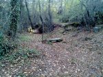 14112009146.jpg