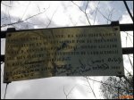 PB140045 (Copiar).jpg