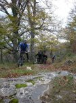 aralar 14-11-09 00006.JPG