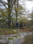 aralar 14-11-09 00009.JPG