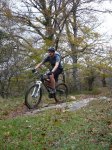 aralar 14-11-09 00010.JPG