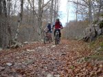 aralar 14-11-09 00015.JPG