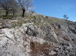 aralar 14-11-09 00026.JPG