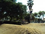 DSC00783.JPG