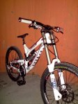 pbpic3782576.jpg