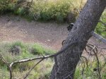 salida 14-11-09 021 [Desktop Resolution].jpg