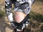 salida 14-11-09 086 [Desktop Resolution].jpg