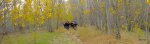 DSCN0547.JPG