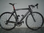 cuadro orca 016.JPG