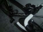 cuadro orca 014.JPG