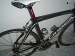 cuadro orca 015.JPG