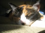 fotos 005.jpg