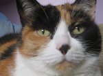 fotos 011.jpg